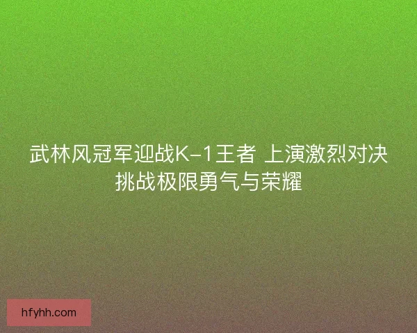 武林风冠军迎战K-1王者 上演激烈对决挑战极限勇气与荣耀