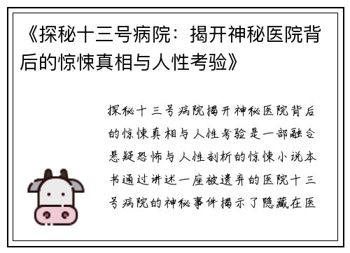 《探秘十三号病院：揭开神秘医院背后的惊悚真相与人性考验》